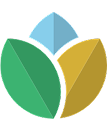 carbon-color.png